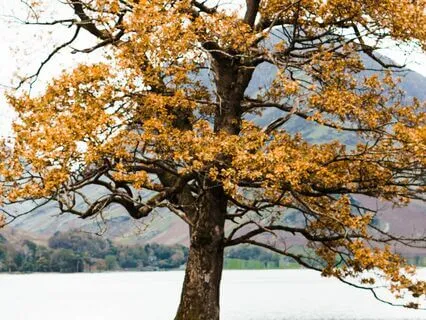 Letting Go Of A Difficult Day