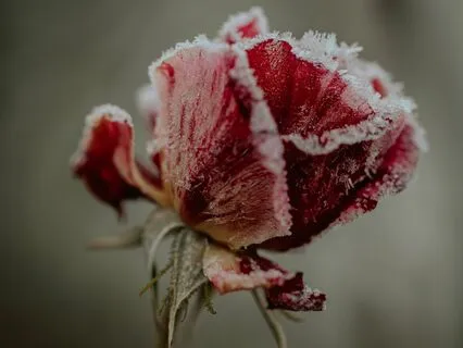 Letting Go Of A Love That Hurts