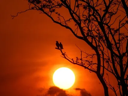 Letting Go Of An Ex meditation 