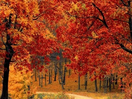 Letting Go Of Anger - The Eternal