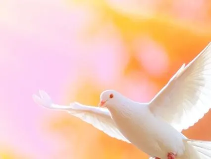 Letting Go Of Anxiety With The Holy Spirit