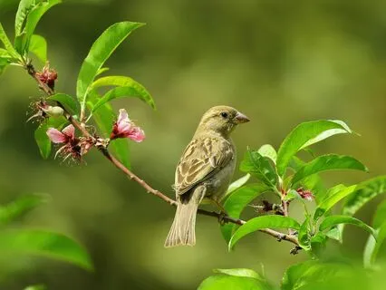 Letting Go Of Bitterness