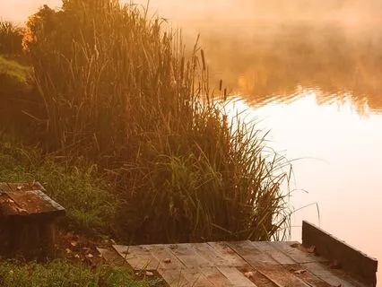 Letting Go Of Comparison - A Guided Visualization