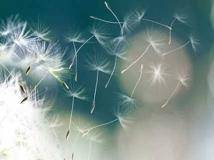 Letting Go Of Control