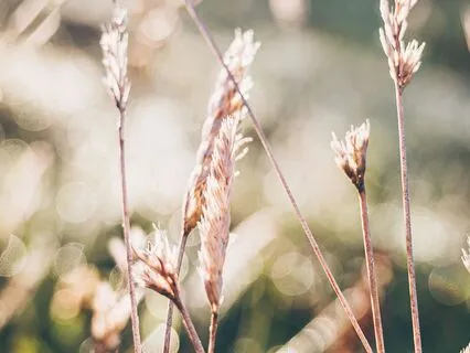 The Beauty Of Slowing Down | Right Here Is Enough