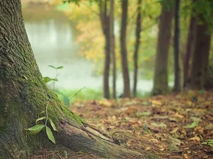 Letting Go Of Control 