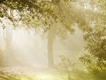 Letting Go Of Ego For Real Happiness And Inner Peace