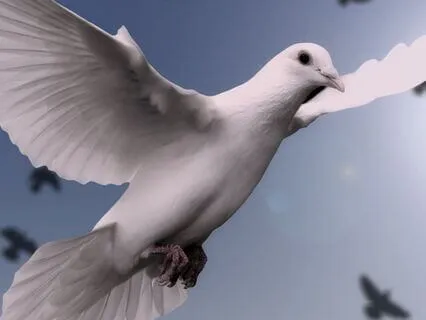 Letting Go Of Emotional Burdens