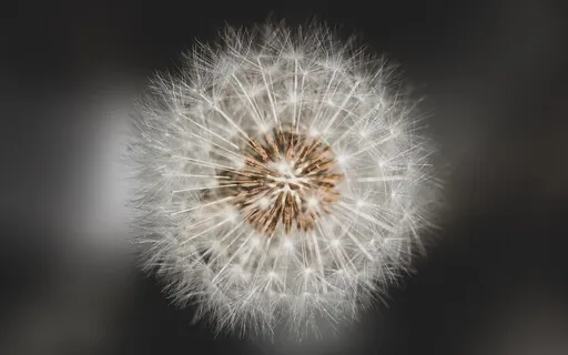 Letting Go Of Expectations & Surrendering To The Unknown