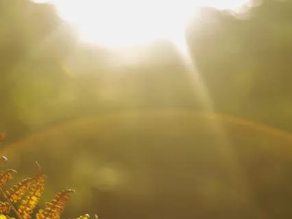 Letting Go Of Fear | A Morning Meditation For New Beginnings