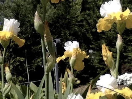 Letting Go Of Obsessive Thinking