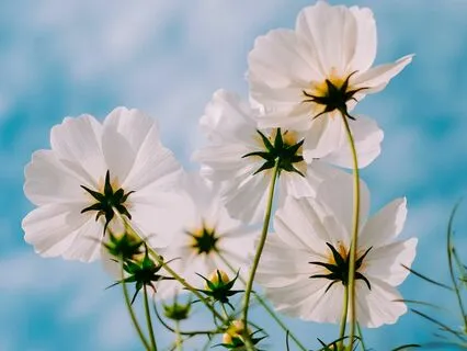 Letting Go Of Old Hurts