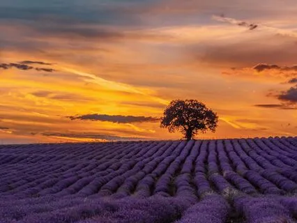 Letting Go Of Old Narratives Meditation