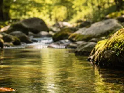 Letting Go Of Overthinking: Finding Mental Space