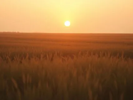 Letting Go Of Overthinking – Mental Stillness