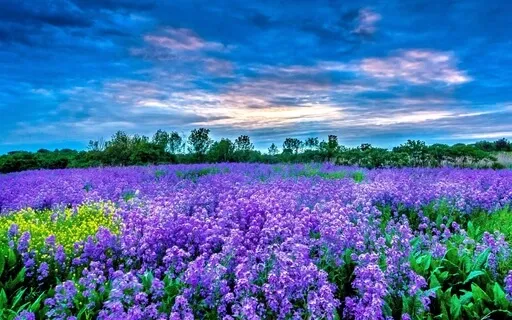 Letting Go Of Overwhelm