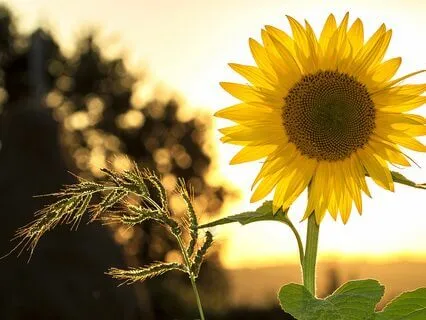 Letting Go Of People Pleasing