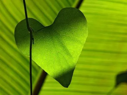 Letting Go Of People Pleasing