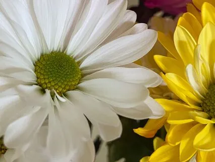 Letting Go Of Perfect Frees Your Time And Energy