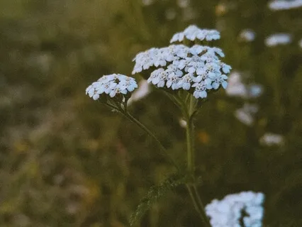 Letting Go Of Perfection