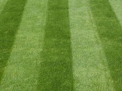 Letting Go Of Perfectionism