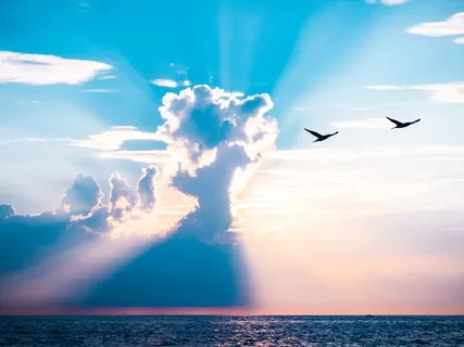 Letting Go Of Relationships & Healing