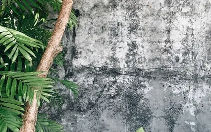 Letting Go Of Resistance To Change