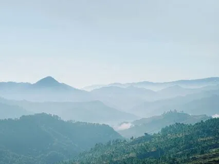 Letting Go Of Revenge: How To Stop Feeding The Narcissist