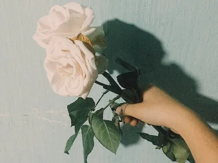 Letting Go Of Shadows: Processing Grief