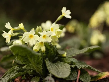 Letting Go Of Stories - February 14