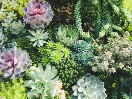 Letting Go Of Stress And Anxiety