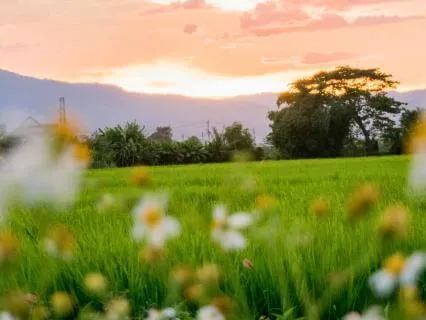 Letting Go Of Stress: For Calm And Release