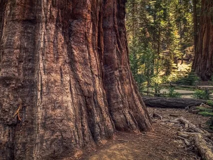 Letting Go Of Stress (Live Recording)