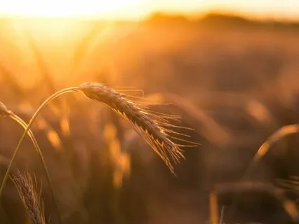 Letting Go Of Stress