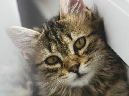 Letting Go Of Stressful Thoughts