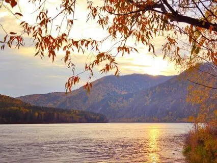 Letting Go Of Tension And Relaxing Into Presence