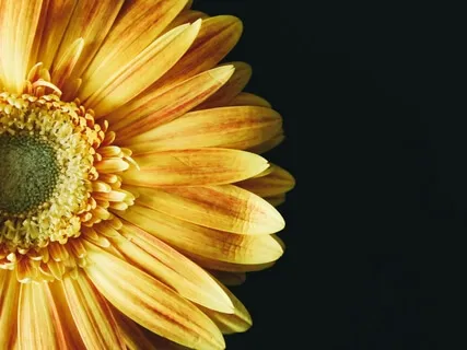 Letting Go Of The Day Meditation