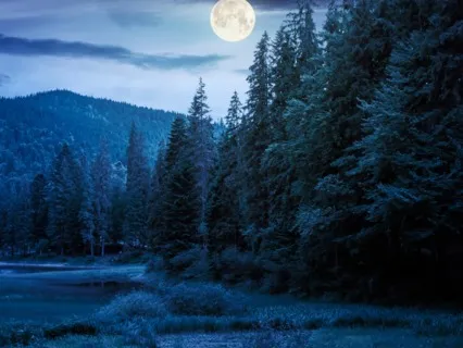 Letting Go Of The Day- Try This Before Sleep