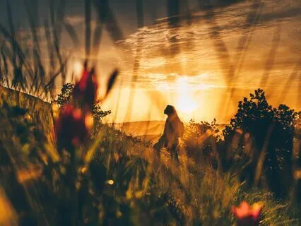 Letting Go Of The Day