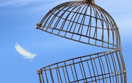 Letting Go Of The Expectations Of Others (Visual Guided)