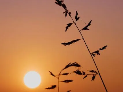 Letting Go Of The Fear Of Not Being Enough