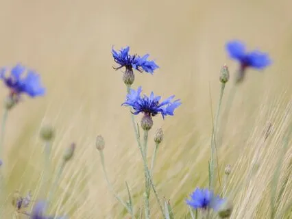 Letting Go Of The “Me” You Think Life Is Happening To