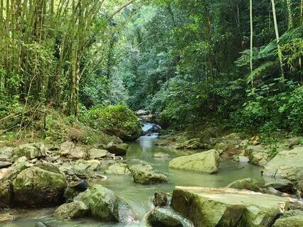 Letting Go Of The Need For Approval