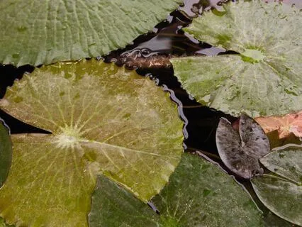 Letting Go Of The Need To Control