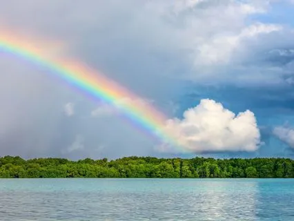 Letting Go Of The Need To Fix