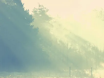 Letting Go of the Past & Being Free