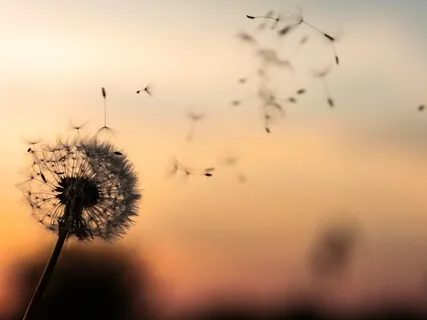 Letting Go Of Thoughts: Guided Meditation