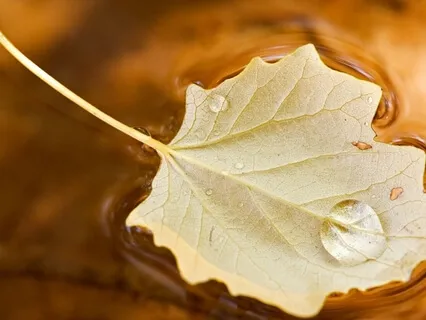 Letting Go of Thoughts Meditation