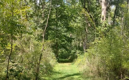 Letting Go Of What No Longer Serves You