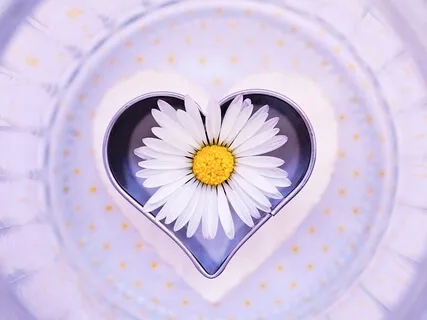 Letting Go Of What No Longer Serves You And Reclaim Your Scattered Energy 